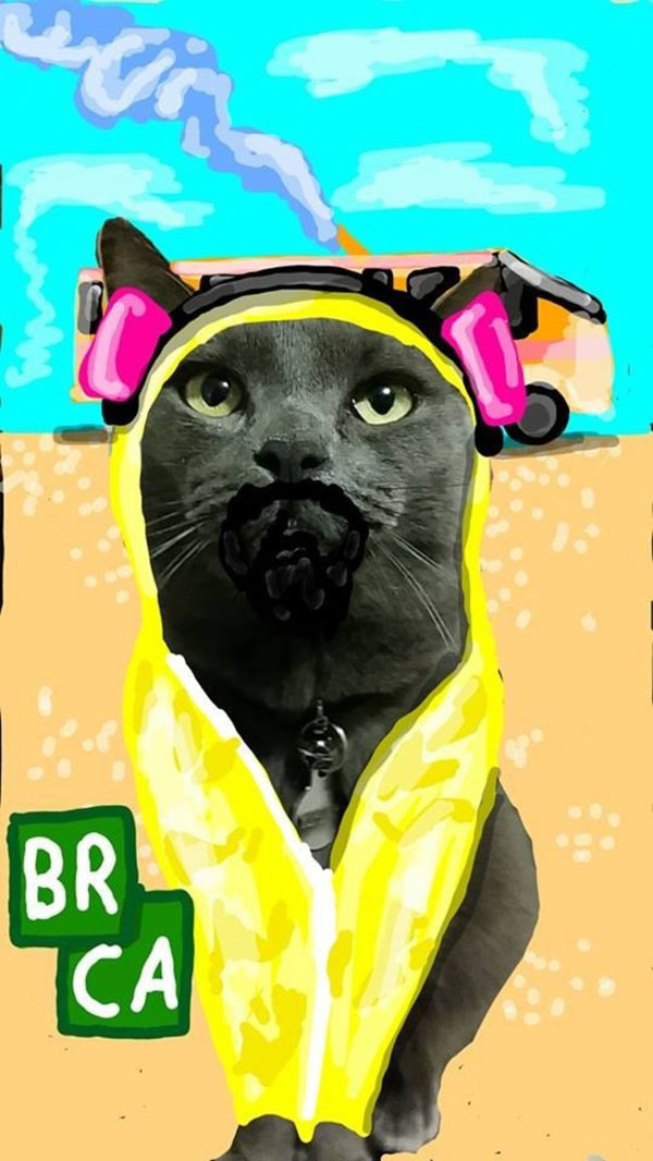 A funny Snapchat featuring a cat in a yellow hoodie on the beach, too good to disappear.