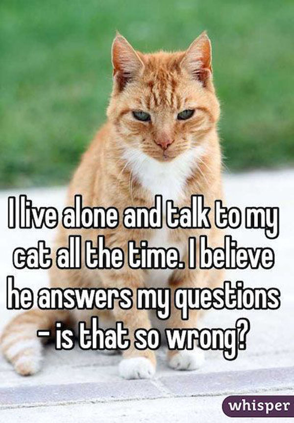 Live alone and talk to my cat all the time, experiencing the joys of solitude.