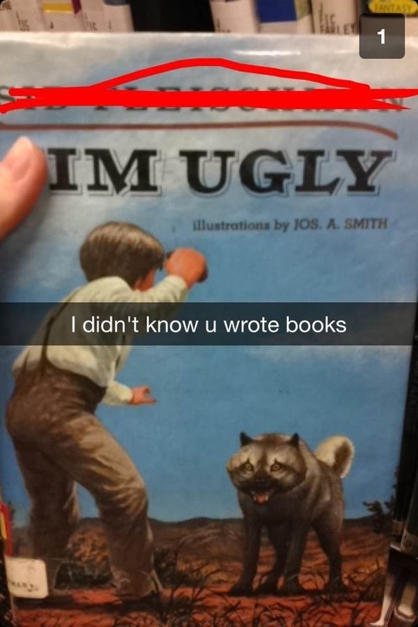 I'm doing Snapchat just right, didn't know you wrote books.