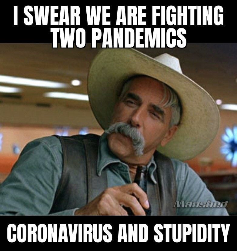 We are battling two pandemics - coronavirus and stupidity.