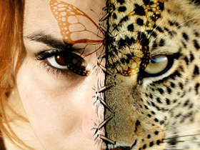 A woman's face adorned with a leopard print and a butterfly, exemplifying the concept of "Getting in touch with your inner animal.