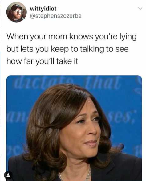 When your mom knows you're lying but you keep talking to see how far you'll take it. Meme Flood