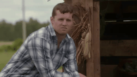 Letterkenny Hard No GIFs - Get the best GIF on GIPHY