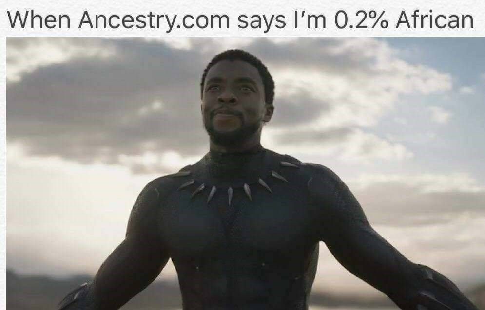 Discover the Black Panther Legacy within ancestry com's 0% African results.