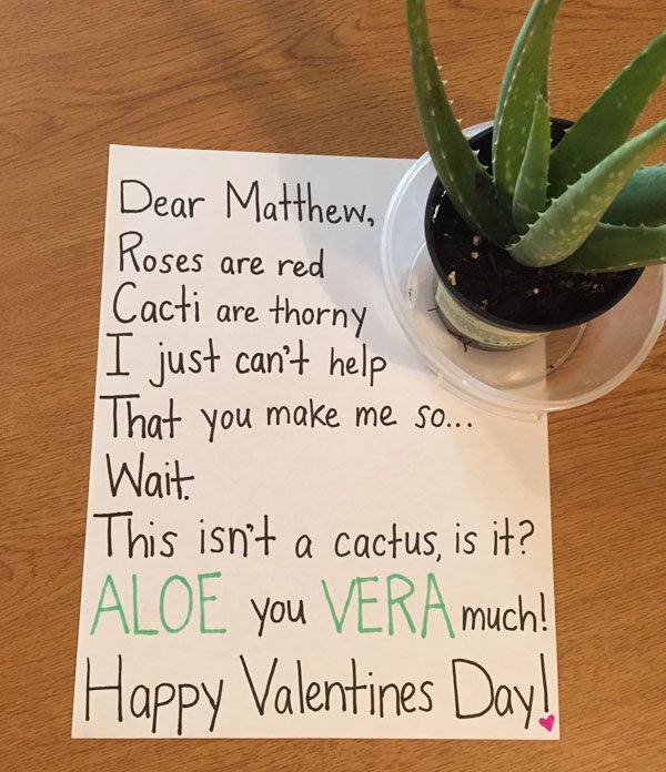 the Best Valentine's Day Wishes We Could Find on the internet. (19)