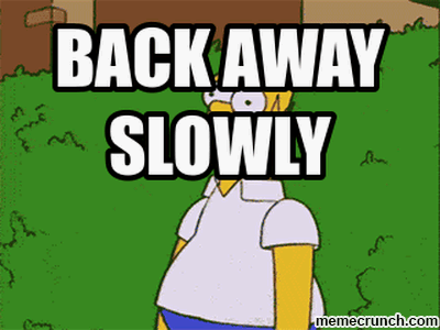 Back away slowly gif 13 » GIF Images Download