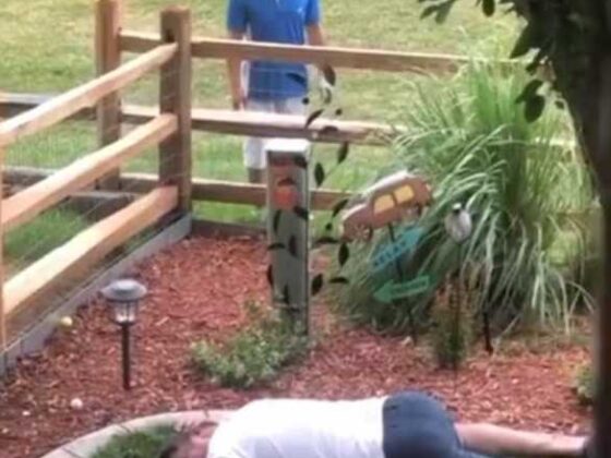 A savage dad is what makes us laugh, among other things. Take a look at this genius, playing dead for no particular reason!
